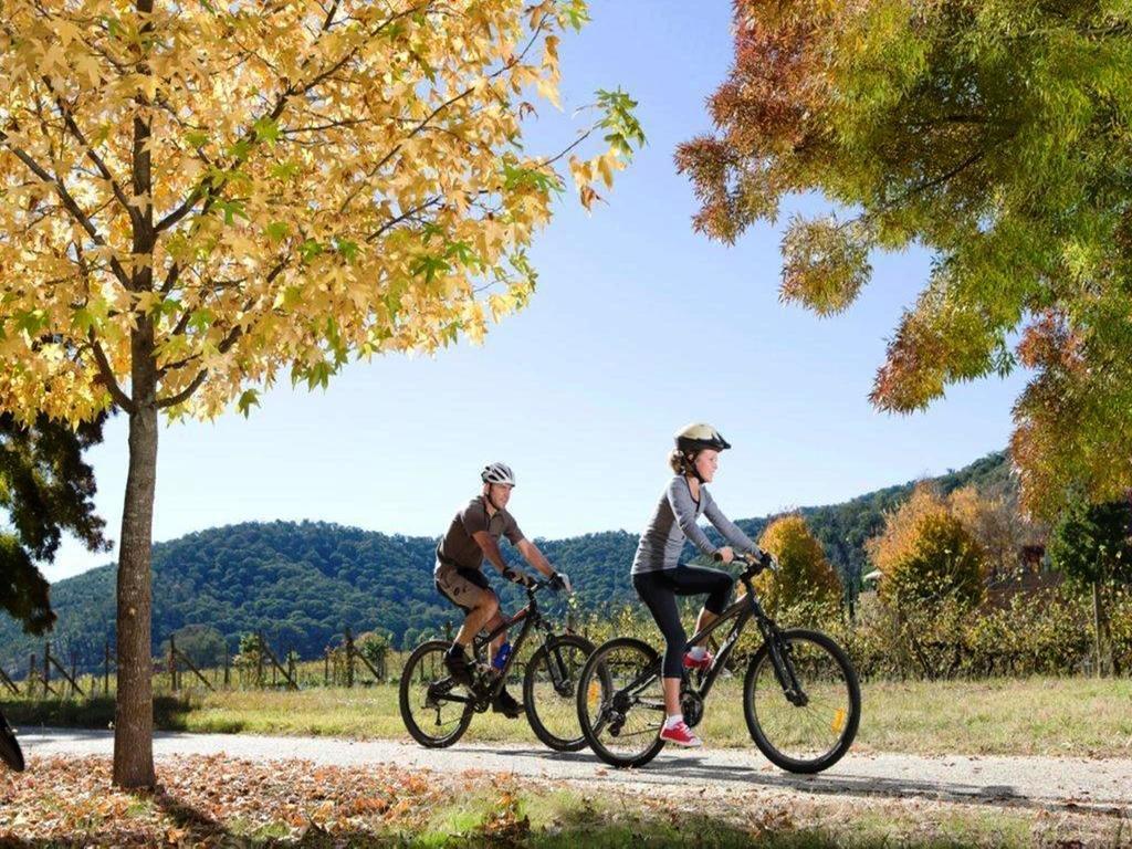 Discovery Parks - Bright Freeburgh 외부 사진