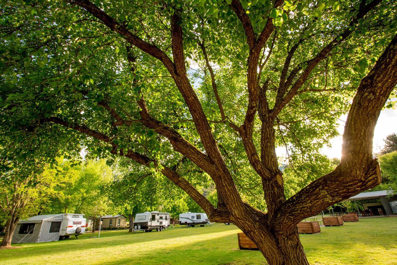 Discovery Parks - Bright Freeburgh 외부 사진